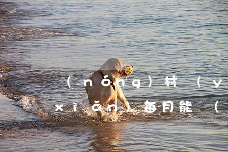 農(nóng)村養(yǎng)老保險(xiǎn)每月能領(lǐng)多少錢？轉(zhuǎn)移和退出手續(xù)怎么辦理？